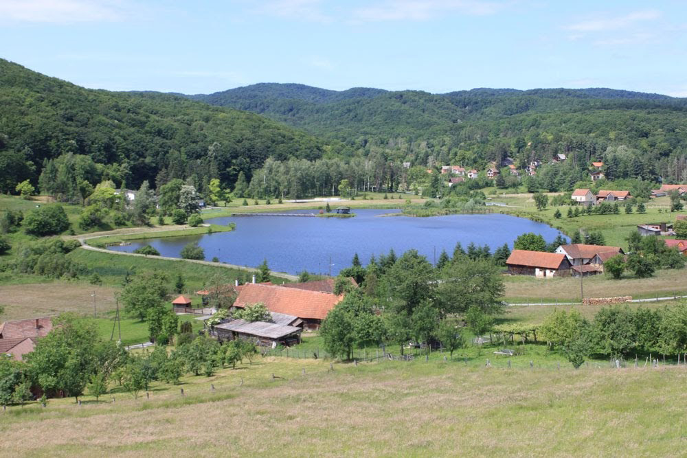 podgaric
